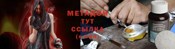 прущие грибы Алексеевка