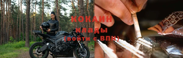 спайс Алзамай