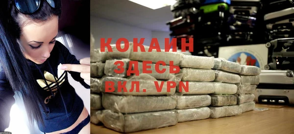 стаф Алексин