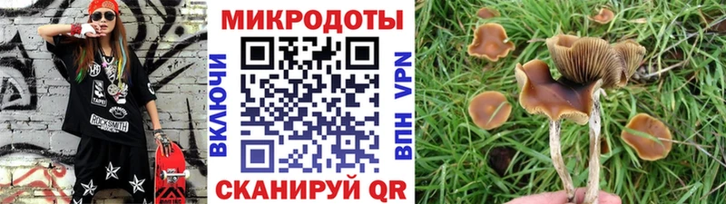 Псилоцибиновые грибы прущие грибы  OMG вход  Тавда 